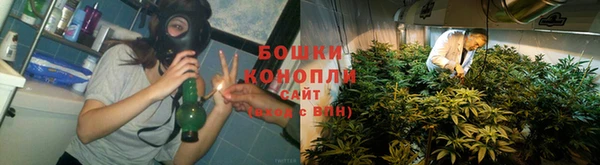 прущие крисы Мегион