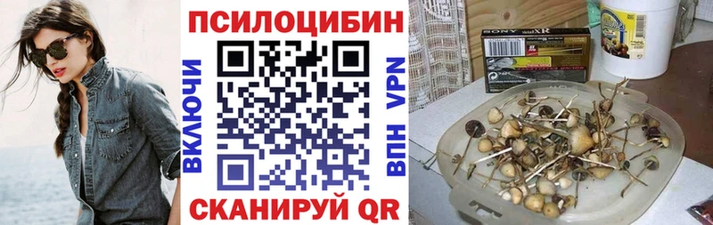 Галлюциногенные грибы мухоморы  ОМГ ОМГ онион  Абинск  сколько стоит 